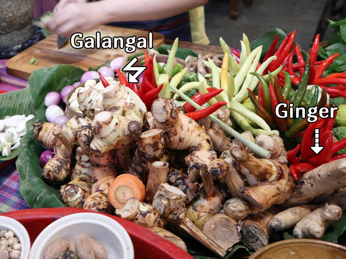 Image showing difference between galangal and ginger