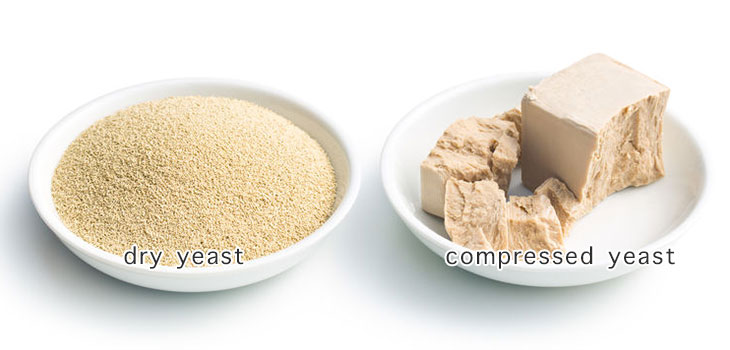 Dry and compressed yeast: illustrated