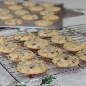Chocolate chip walnut cookies on tray and wire rack
