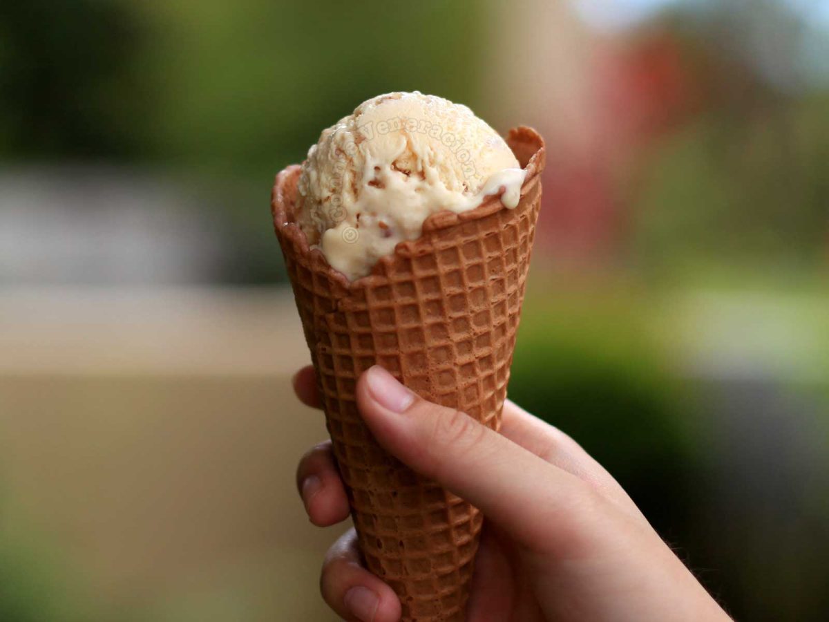 Applesauce and walnut ice cream in cone