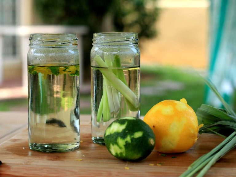 Food and nonfood uses for citrus peel and zest