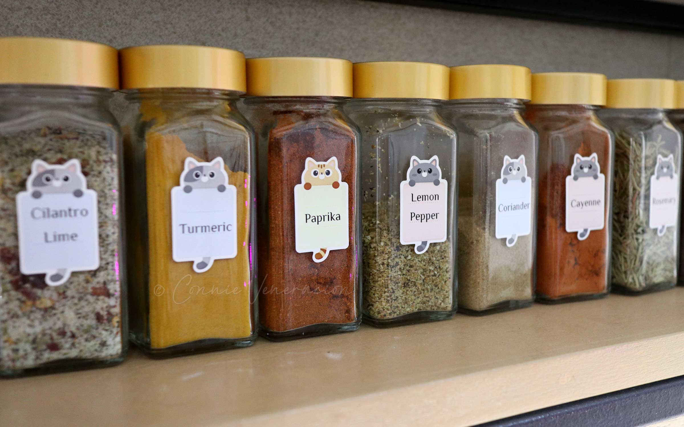Build a Countertop Spice Storage Bin + Printable Spice Labels
