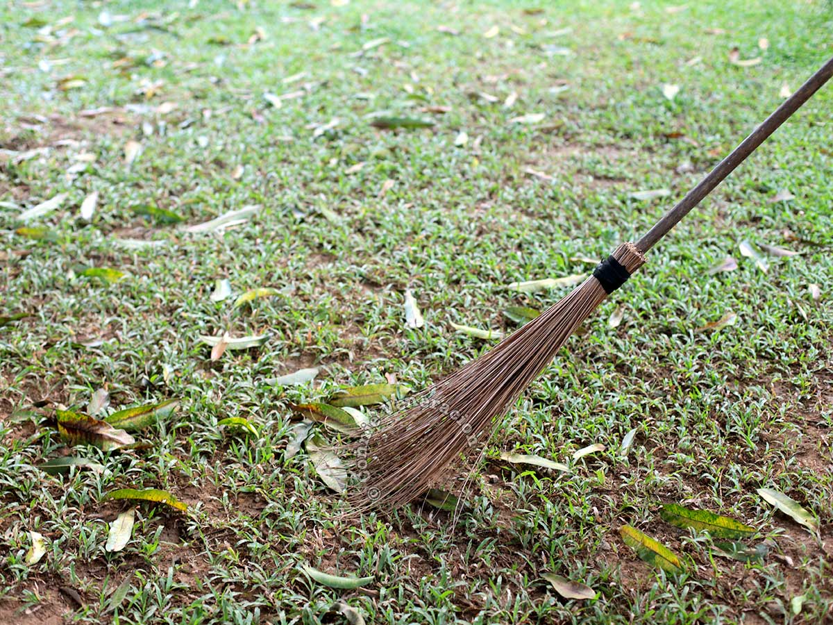 Broom made with coconut fronds