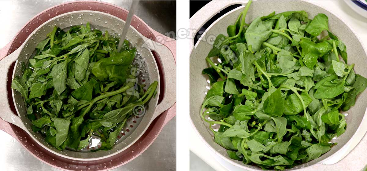 Rinsing spinach in colander
