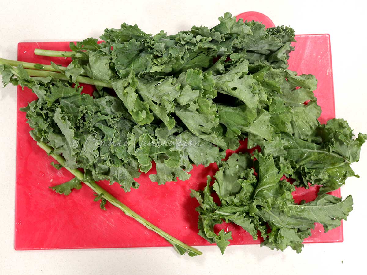 Separating kale leaves from fibrous ribs