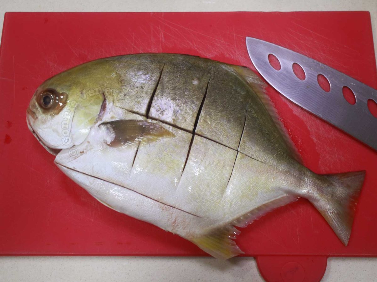 A whole pompano scored with vertical and horizontal slashes