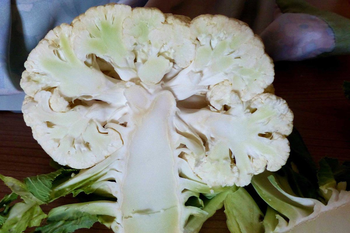 Head of cauliflower cut into halves