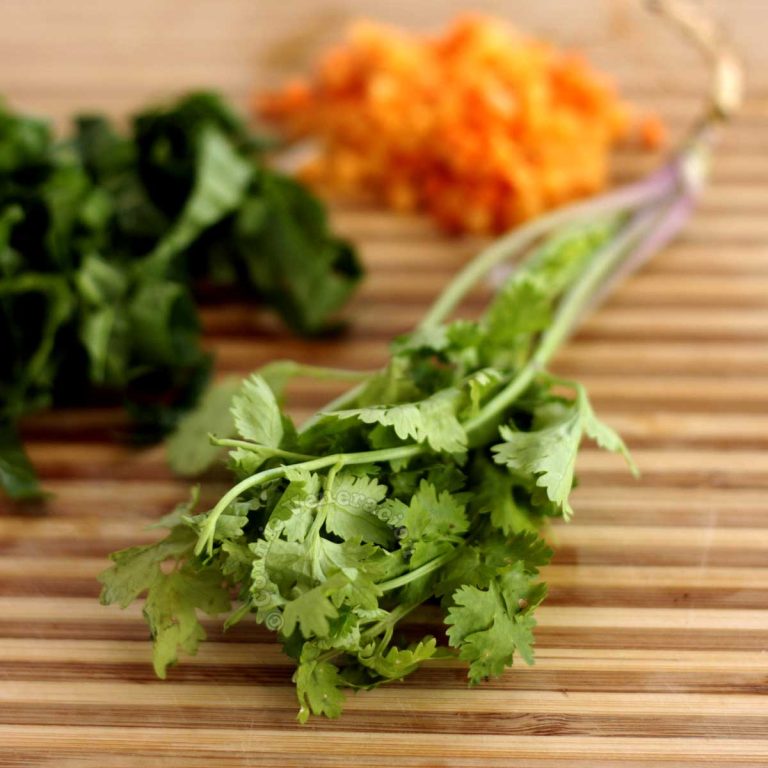 What’s the difference between cilantro and coriander?