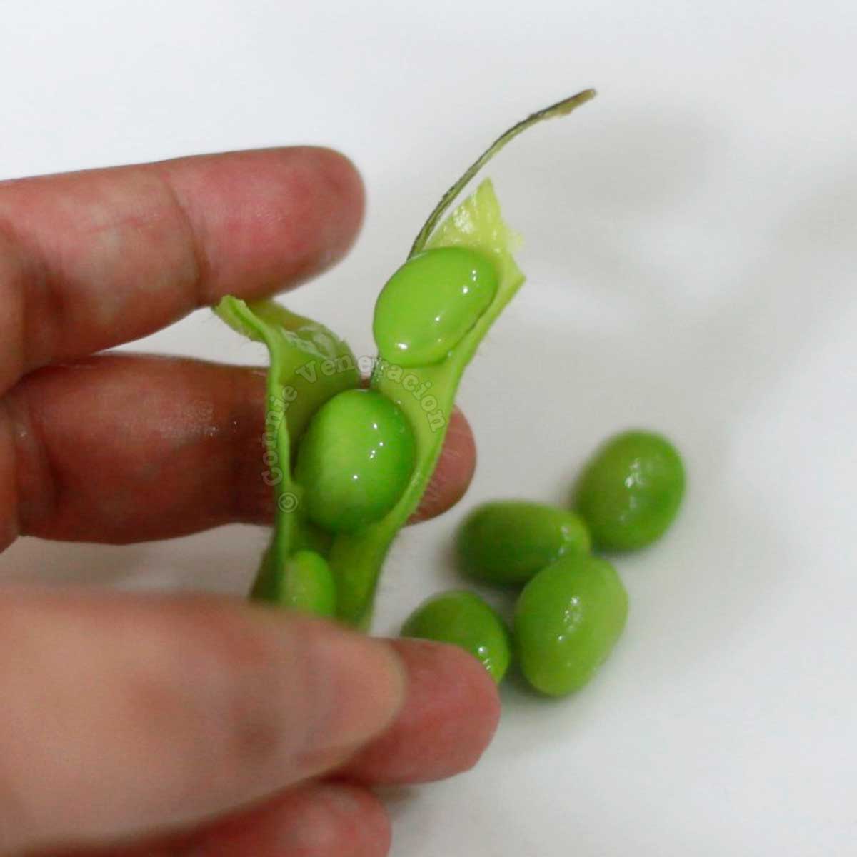 Cooked fresh edamame (fresh soy beans in pods)