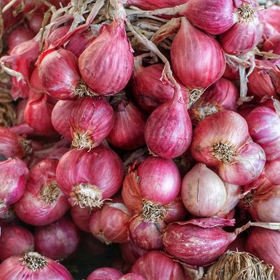 Shallots