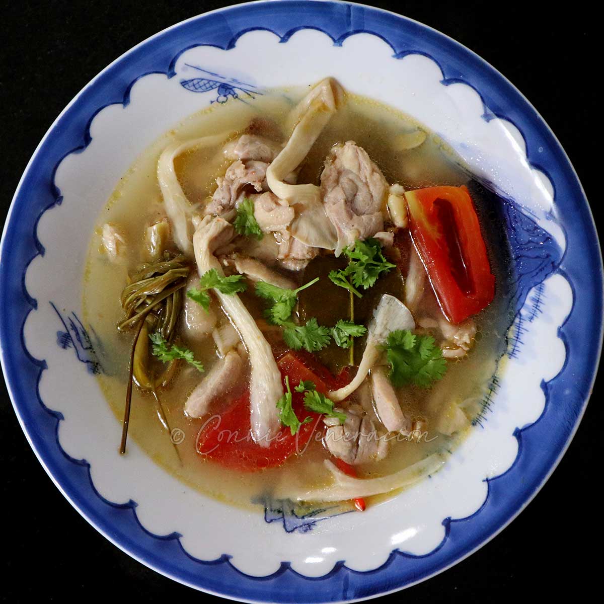 Thai hot and sour chicken soup (tom yum gai)