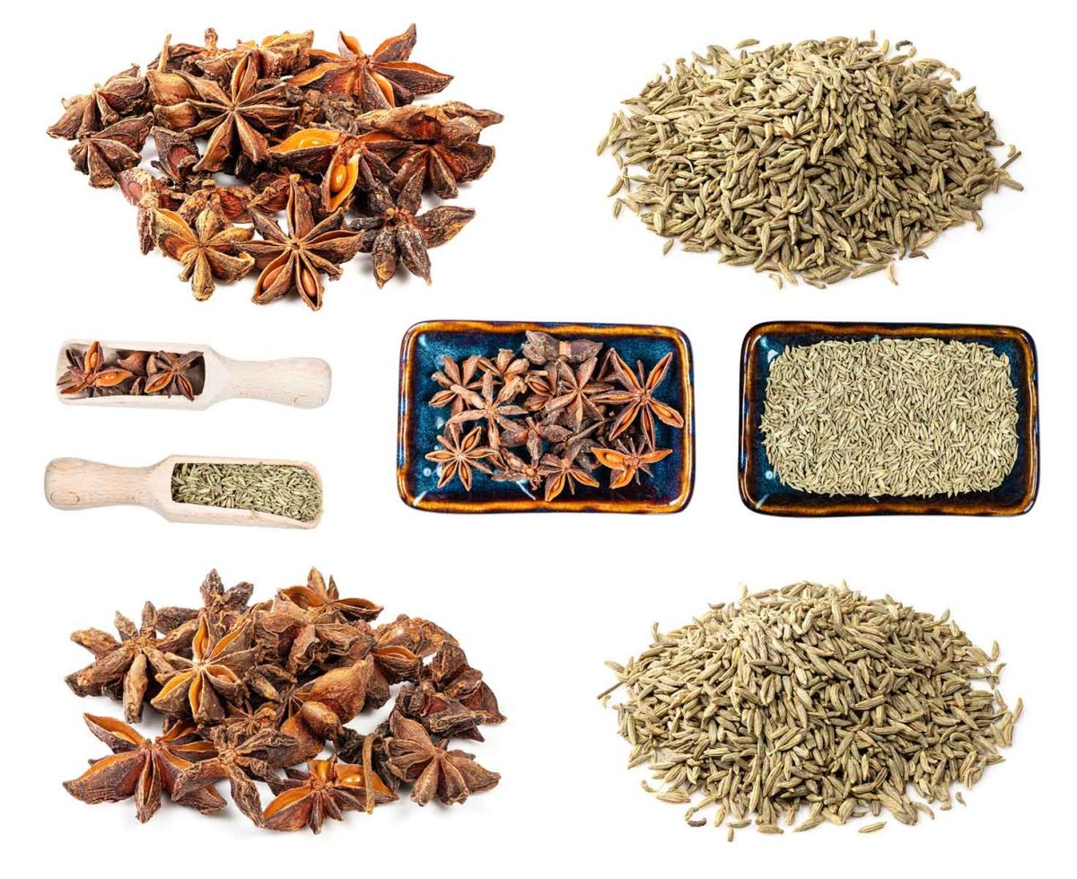 Anise (aniseed) and start anise, differentiated