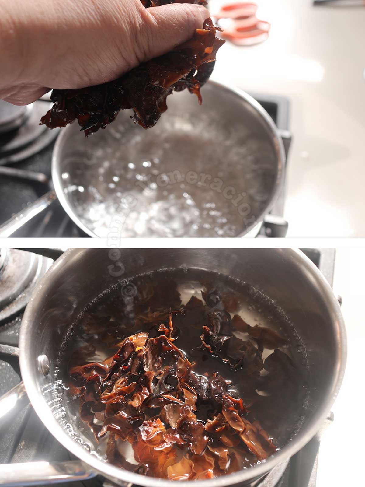 Dropping wood ears into pan of boiling water