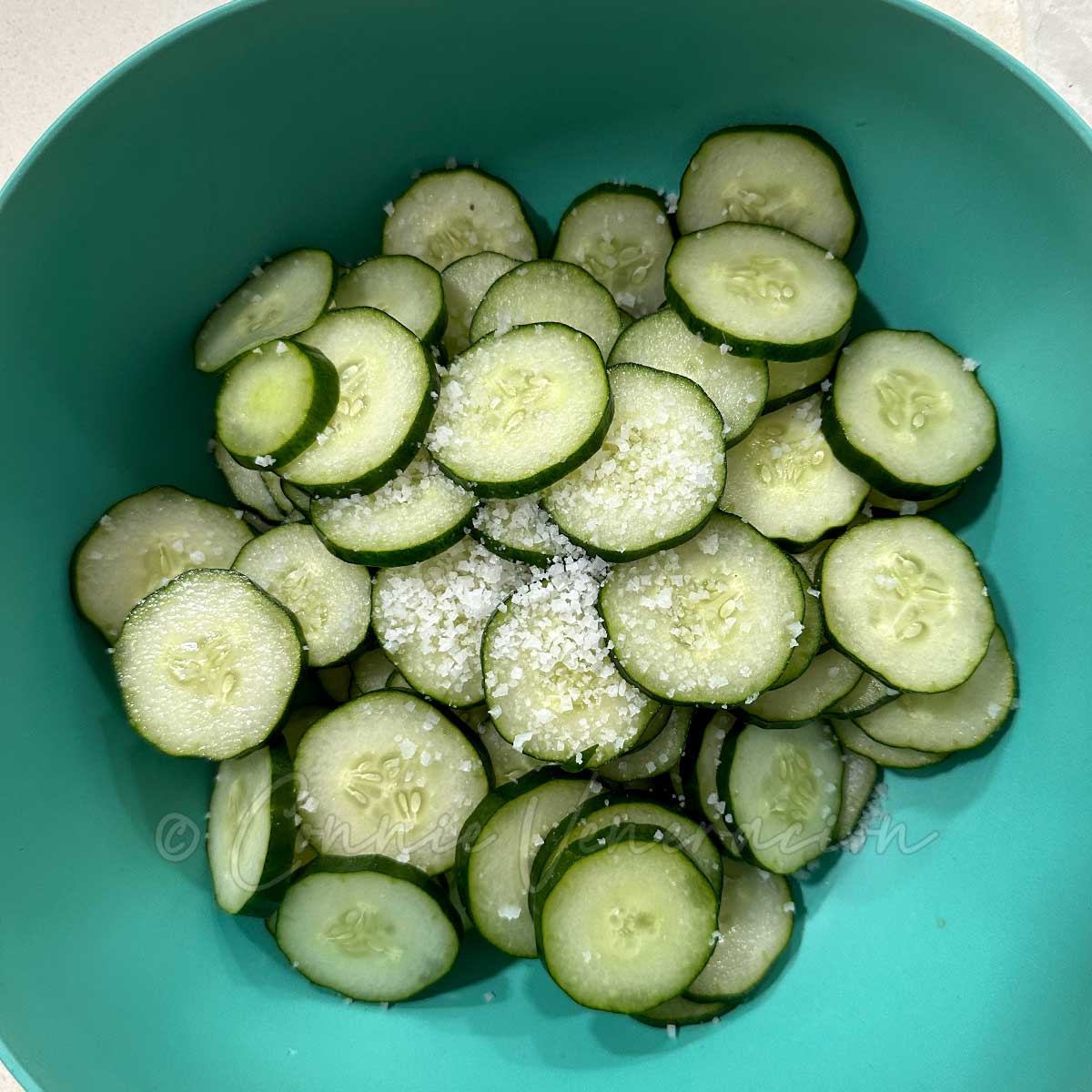 Cucumber slices sprinkled with rock salt