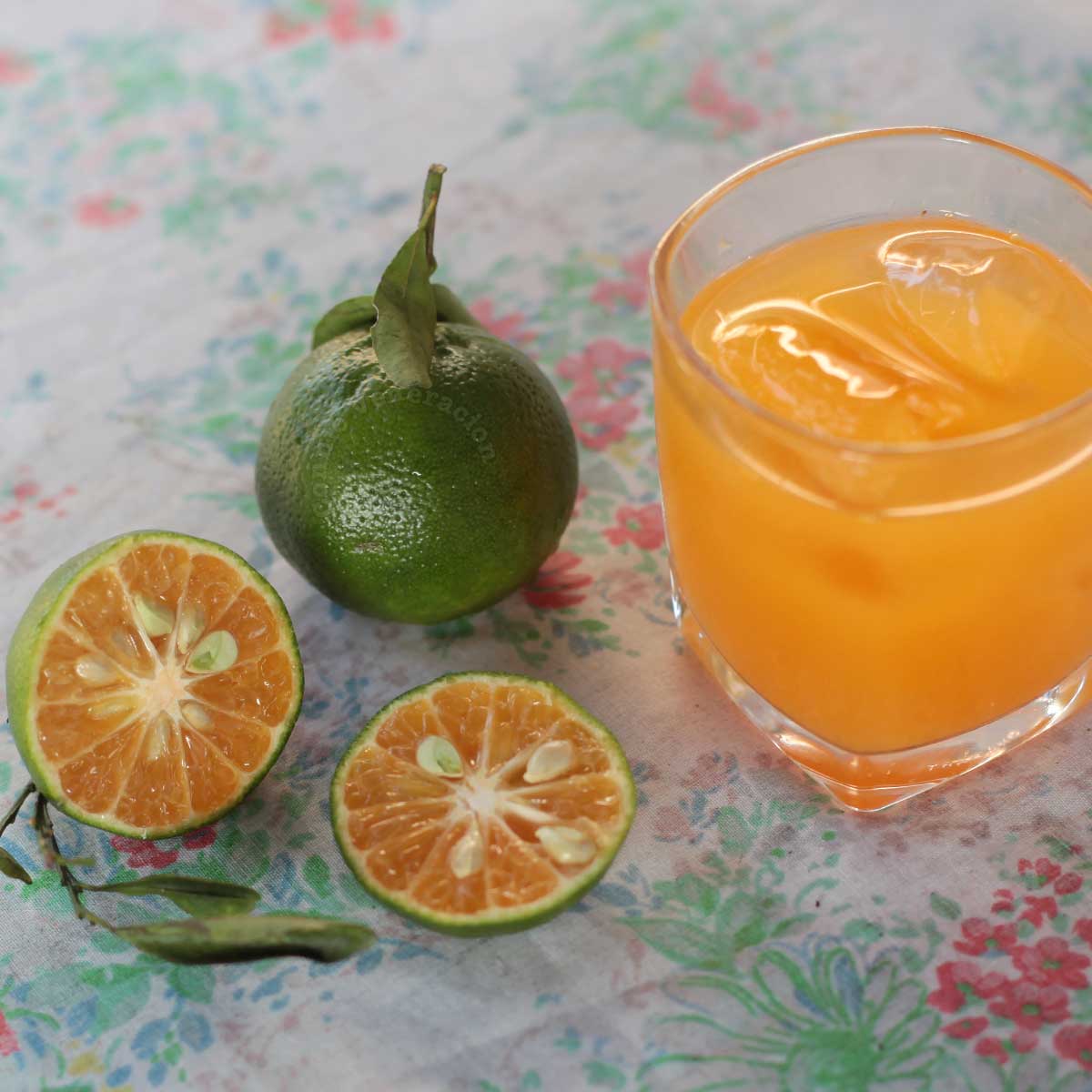 Freshly squeezed orange juice served with ice