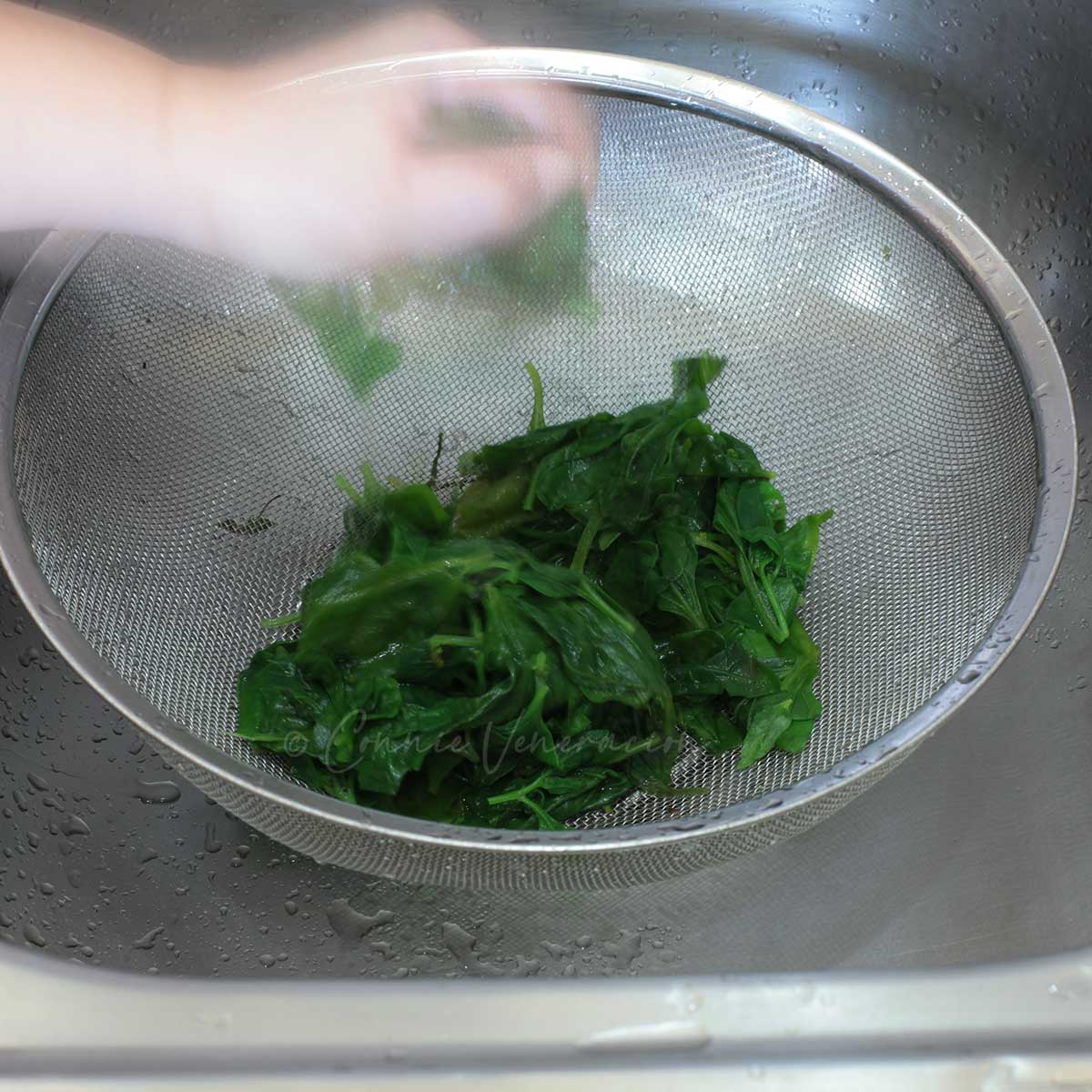Squeezing blanched spinach