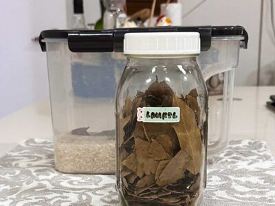 Jar of dried bay leaves (laurel)