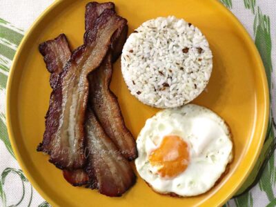 Bacsilog