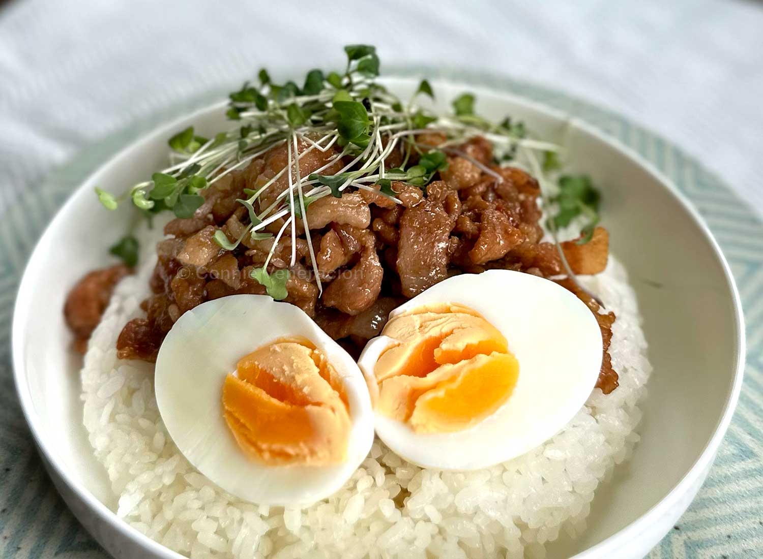 Pork version of gyudon